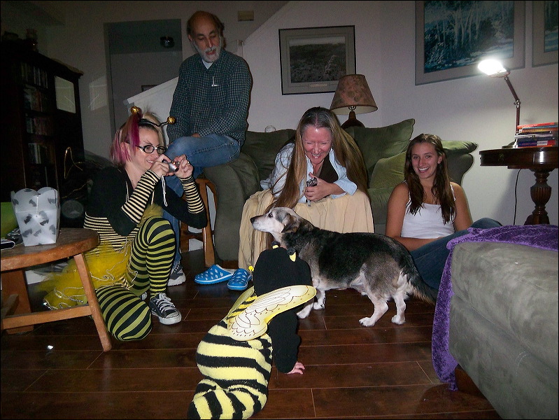 Emi , Jordan , Rachel , Steve , Kate , Henry  • We Buzz...We Trick...We Treat!  • The Doblick House  • Santa Cruz  • CA   • 10/31/2008