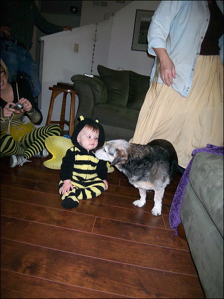 Emi , Henry  • We Buzz...We Trick...We Treat!  • The Doblick House  • Santa Cruz  • CA   • 10/31/2008