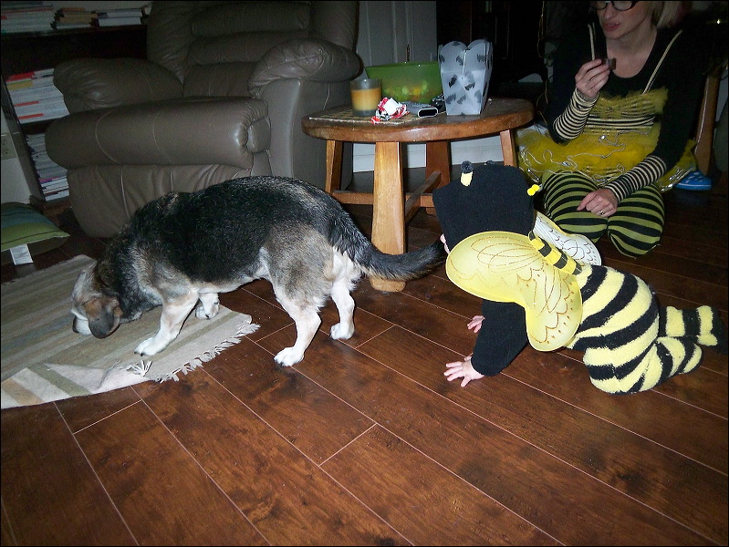 Emi , Henry  • We Buzz...We Trick...We Treat!  • The Doblick House  • Santa Cruz  • CA   • 10/31/2008