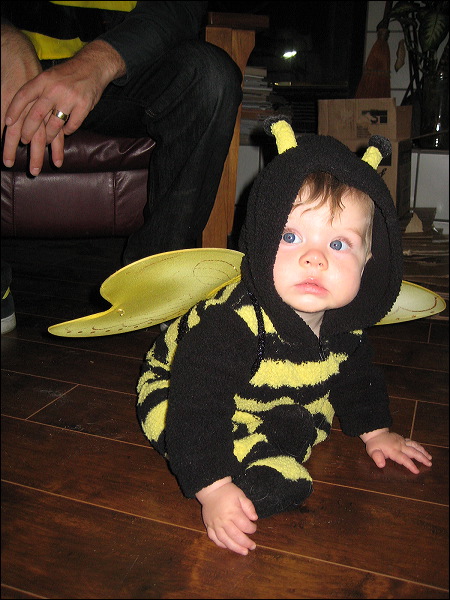 Emi  • We Buzz...We Trick...We Treat!  • The Doblick House  • Santa Cruz  • CA   • 10/31/2008