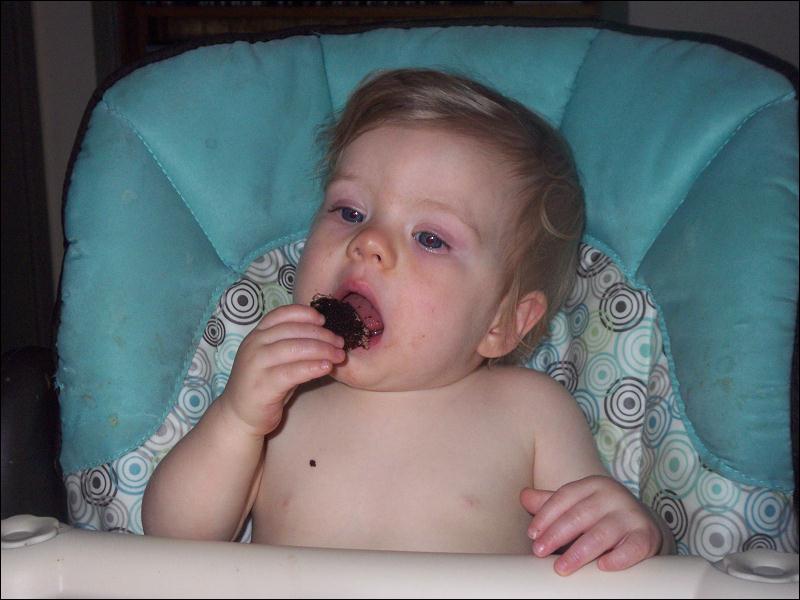   • Emi's 1st Birthday Party  • Alexander-Santana Estate  • La Selva Beach  • California   • 2/21/2009