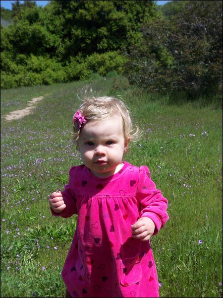   •   •   •   •    • 3/31/2009