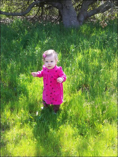   •   •   •   •    • 3/31/2009