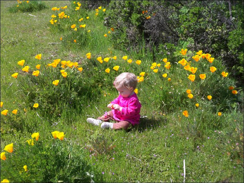   •   •   •   •    • 3/31/2009