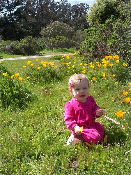   •   •   •   •    • 3/31/2009