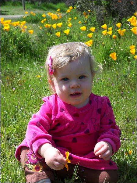   •   •   •   •    • 3/31/2009