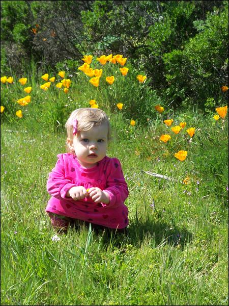   •   •   •   •    • 3/31/2009