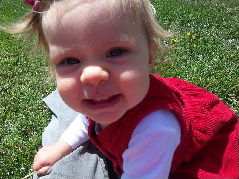   •   •   •   •    • 4/29/2009