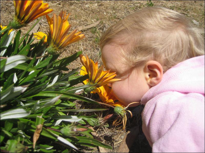   •   •   •   •    • 4/24/2009