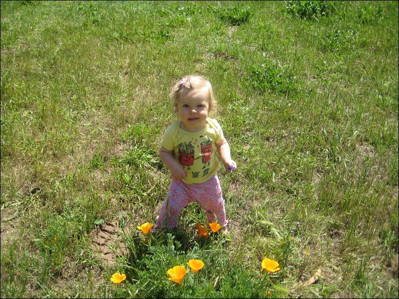   •   •   •   •    • 5/8/2009